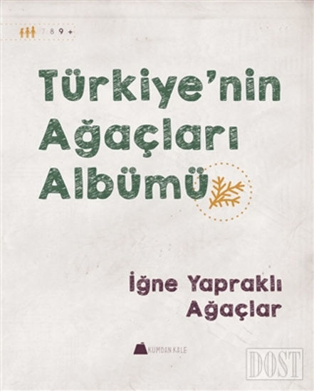 Türkiye'nin Ağaçları Albümü - İğne Yapraklı Ağaçlar
